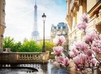 Ravensburger Puzzle Fr&uuml;hling in Paris - 500 Teile Puzzle f&uuml;r Erwachsene | 500 Teile
