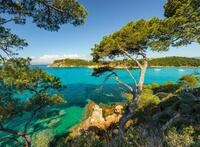 Ravensburger Puzzle Sch&ouml;ne Aussicht - 500 Teile Puzzle f&uuml;r Erwachsene | 500 Teile