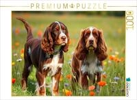 Puzzle &middot; Niedliche American Cocker Spaniel | Auf der bunten Blumenwiese &middot; 1000