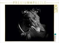 Puzzle &middot; EIN Motiv aus dem Kalender Galgo Espa&ntilde;ol 2017 | 1000 Teile &middot; Lege-Gr&ouml;&szlig;e