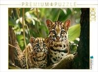 Puzzle &middot; EIN Motiv aus dem Kalender Wenn die Wilden Katzen leise durch Ihr |...