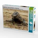 Puzzle &middot; Komodowaran - Varanus komodoensis - in Indonesien | Komodowaran &middot; Varanus