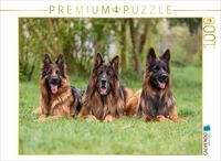 Puzzle &middot; Langstockhaar - Sch&auml;ferhunde Trio | H&uuml;ndin mit 2 R&uuml;den &middot; 1000...