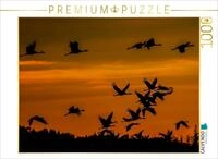 Puzzle &middot; Kraniche an der Ostsee | 1000 Teile &middot; Lege-Gr&ouml;&szlig;e 64 &times; 48 cm &middot; CALVENDO