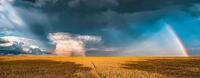 Ravensburger Puzzle 12000291 - Nature Edition, Mystisches Regenbogenwetter -...