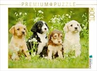 Puzzle &middot; Bunte Hunde | 1000 Teile &middot; Lege-Gr&ouml;&szlig;e 64 &times; 48 cm &middot; CALVENDO Puzzle