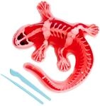 Simba Scout Dissect-It Salamander, zum Sezieren, 14cm, Skelett und Organe zum