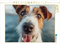 Puzzle &middot; Frischer Wind und Treue Augen | Bereit f&uuml;r das n&auml;chste maritime...