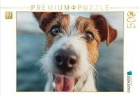 Puzzle &middot; Frischer Wind und Treue Augen | Bereit f&uuml;r das n&auml;chste maritime...