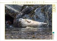 Puzzle &middot; Robbe an der Felsk&uuml;ste | 2000 Teile &middot; Lege-Gr&ouml;&szlig;e 90 &times; 67 cm &middot;