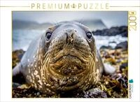 Puzzle &middot; Mehr Charme pro Tonne | See &middot; Elefant &middot; 2000 Teile &middot; Lege-Gr&ouml;&szlig;e...
