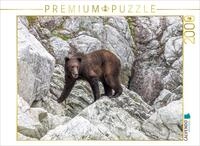 Puzzle &middot; B&auml;r in der Felslandschaft | 2000 Teile &middot; Lege-Gr&ouml;&szlig;e 90 &times; 67 cm &middot;