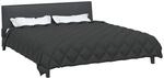 vidaXL Winterbettdecke 200 x 240 cm 450 g/m&sup2; Anthrazit