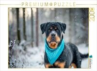 Puzzle &middot; Rottweiler - Imposanter Begleiter im Schnee | Kraftvoll durch den...