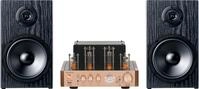 Bennett & Ross TA-70 Bluetooth-Stereoanlage im R&ouml;hren-Design, Champagner |...
