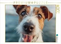 Puzzle &middot; Frischer Wind und Treue Augen | Bereit f&uuml;r das n&auml;chste maritime...