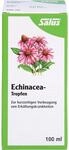 ECHINACEA TROPFEN Salus 100 ml