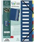 Exacompta 55122E Premium Ordnungsmappe Harmonika. Aus extra starkem Colorspan-Karton