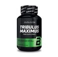 BioTechUSA Tribulus Maximus | Tribulus-Terrestris-Extrakt
