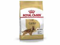 Royal Canin Cocker 25 Adult Hundefutter 12 kg, 1er Pack (1 x 12 kg)