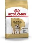 Royal Canin Bulldog Adult 12 kg, 1er Pack (1 x 12 kg)