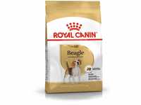 Royal Canin Beagle Adult 12 kg Corn Poultry