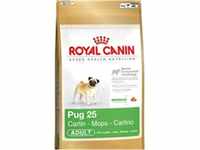 Royal Canin Mops Trockenfutter (1,5kg) (kann variieren)