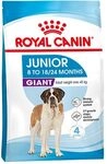 Royal Canin GAINT Junior 31 - 15 kg | Unterst&uuml;tzt Immunit&auml;t und Muskelaufbau