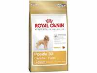 Royal Canin Breed Pudel Hundefutter Trocken Trockenfutter Erwachsene Hunde...
