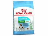 ROYAL CANIN Hundefutter Mini Starter 8.5 kg, 1er Pack (1 x 8.5 kg)