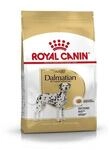 Royal Canin Dalmatian 22 Adult 12 kg, 1er Pack (1 x 12 kg)