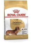 Royal Canin Dachshund Adult | 500 g | Alleinfuttermittel f&uuml;r ausgewachsene Dackel ab
