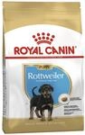 Royal Canin Rottweiler 31 Junior 12 kg, 1er Pack (1 x 12 kg)