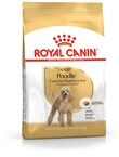 Royal Canin Poodle Adult | 500 g | Trockenfutter f&uuml;r ausgewachsene Poodle | Zur