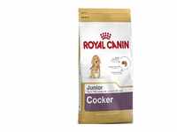 Royal Canin Cocker Junior 3 kg, 1er Pack (1 x 3 kg)