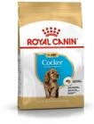 Royal Canin Cocker Junior 3 kg, 1er Pack (1 x 3 kg)