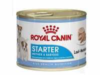 Royal Canin Starter Mousse 12 x 195 GR