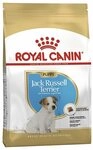 Royal Canin Jack Russel Terrier Puppy | 1,5 kg | Trockenfutter f&uuml;r Jack Russel