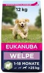 Eukanuba Welpenfutter mit Lamm & Reis f&uuml;r gro&szlig;e Rassen - Trockenfutter f&uuml;r Junior