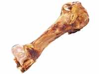 Schecker Hundeknochen - Dino Knochen vom Rind - naturbelassen - riesig - Bullen
