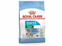 Royal Canin Mini Starter Mother & babydog, 1er Pack (1 x 1 kg)
