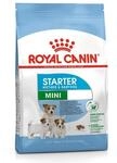 Royal Canin Mini Starter Mother & babydog, 1er Pack (1 x 1 kg)
