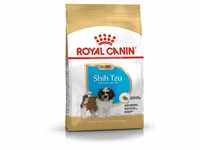 Royal Canin Shih Tzu Junior 500 g, 1er Pack (1 x 500 g)