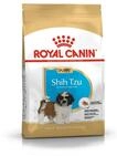 Royal Canin Shih Tzu Junior 500 g, 1er Pack (1 x 500 g)
