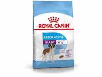 Royal Canin Hundefutter Giant Junior Active 15 kg, 1er Pack (1 x 15 kg)