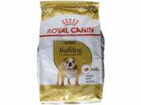 Royal Canin Bulldog Adult 3 kg, 1er Pack (1 x 3 kg)