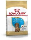 ROYAL CANIN Dachshund Puppy | 1,5 kg | Trockennahrung f&uuml;r Dackel-Welpen bis 10