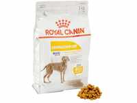 Royal Canin Maxi Dermacomfort 25, 1er Pack (1 x 3 kg Packung) - Hundefutter