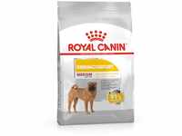 Royal Canin Dermacomfort Medium Trockenfutter für ausgewachsene mittelgroße...