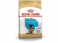 Royal Canin German Sheperd 30 Junior 3 kg, 1er Pack (1 x 3 kg)